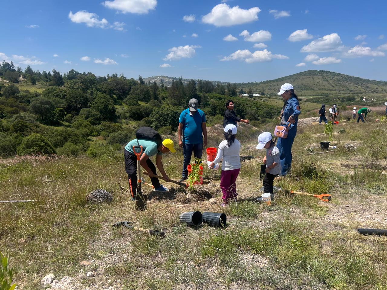 Reforestación Puebla